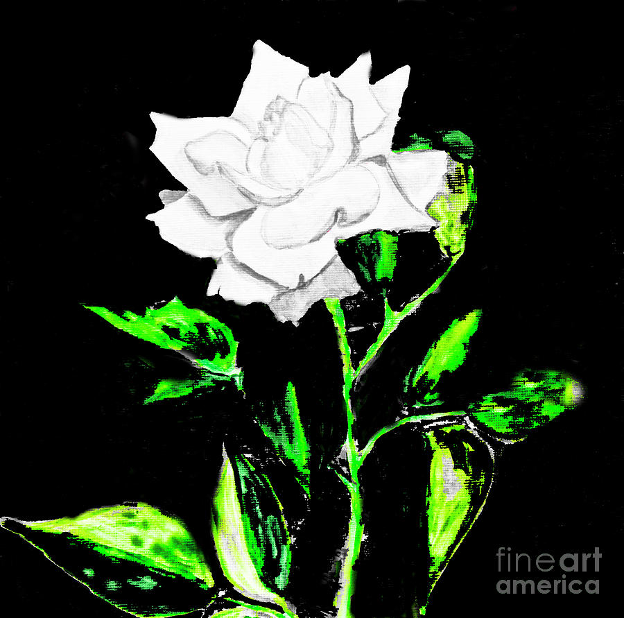 White Rose on black, painting Painting by Irina Afonskaya