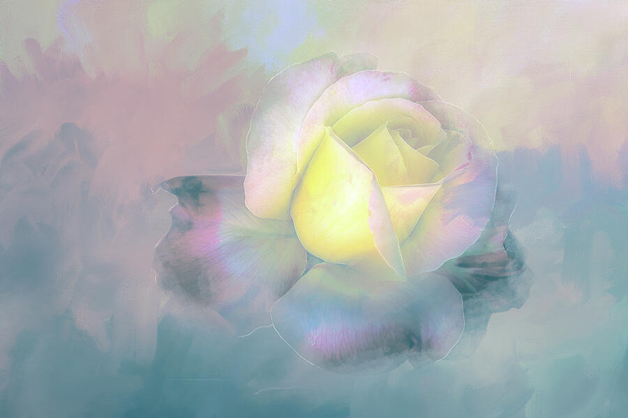 White Rose on Blue Pastel Digital Art by Terry Davis