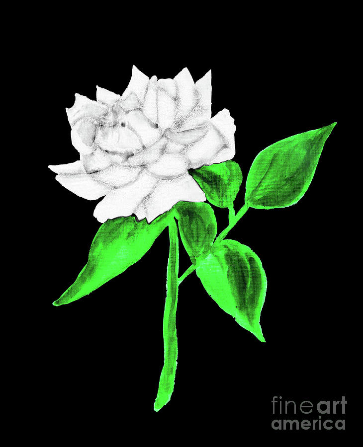 White rose, painting Painting by Irina Afonskaya