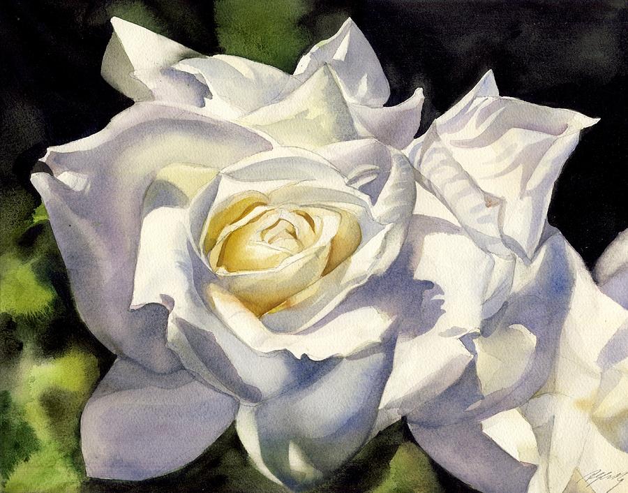 White Rose Watercolor Painting by Alfred Ng
