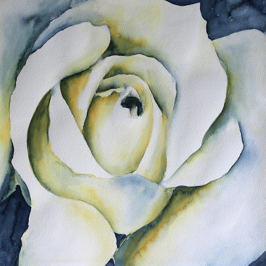 White rose watercolor painting Painting by Karen Kaspar