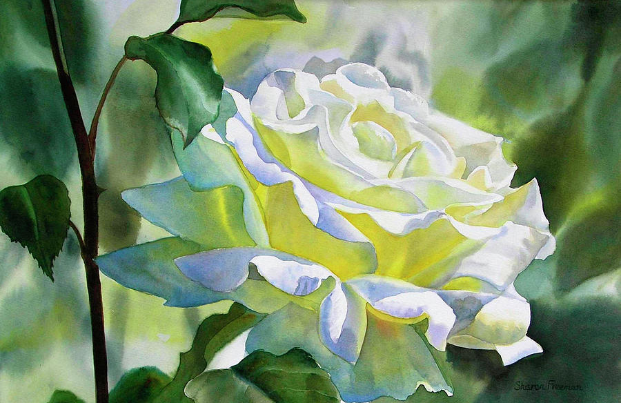 White Rose with Yellow Glow Painting by Sharon Freeman