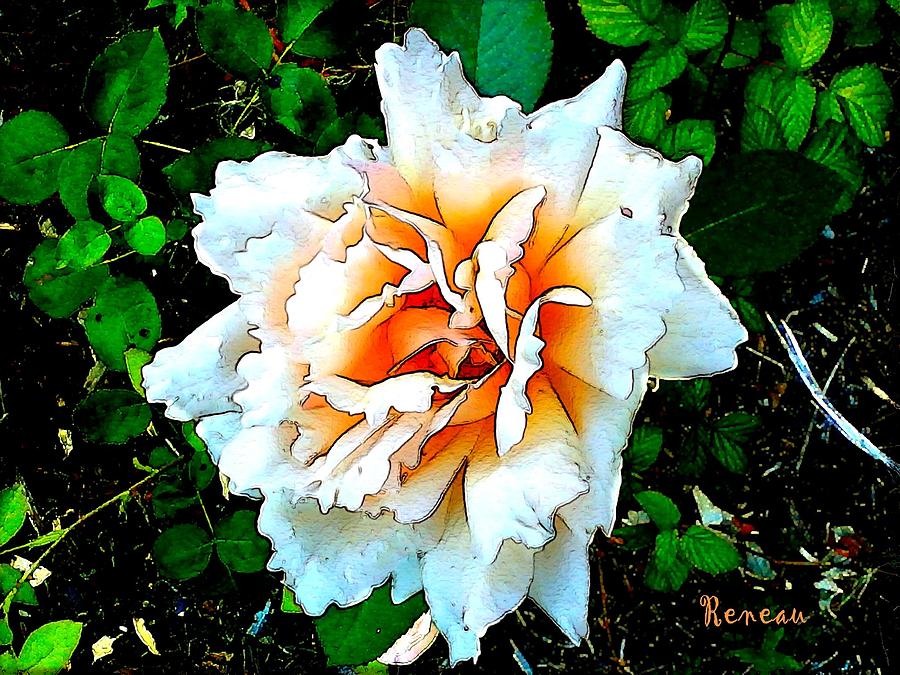 WHITE ROSE with YELLOW Photograph by A L Sadie Reneau