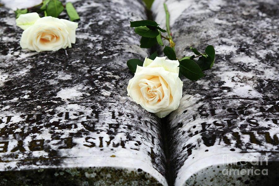 White Roses on Gravestone for Memorial Day Photograph by James Brunker