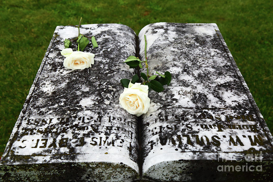 White Roses on Tombstone for Memorial Day Photograph by James Brunker