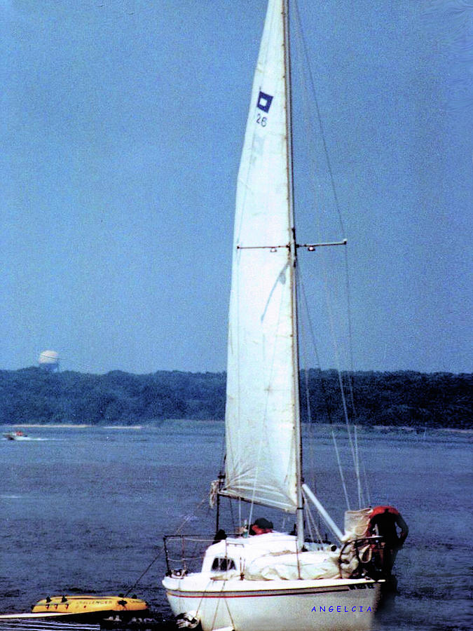 white sail yacht