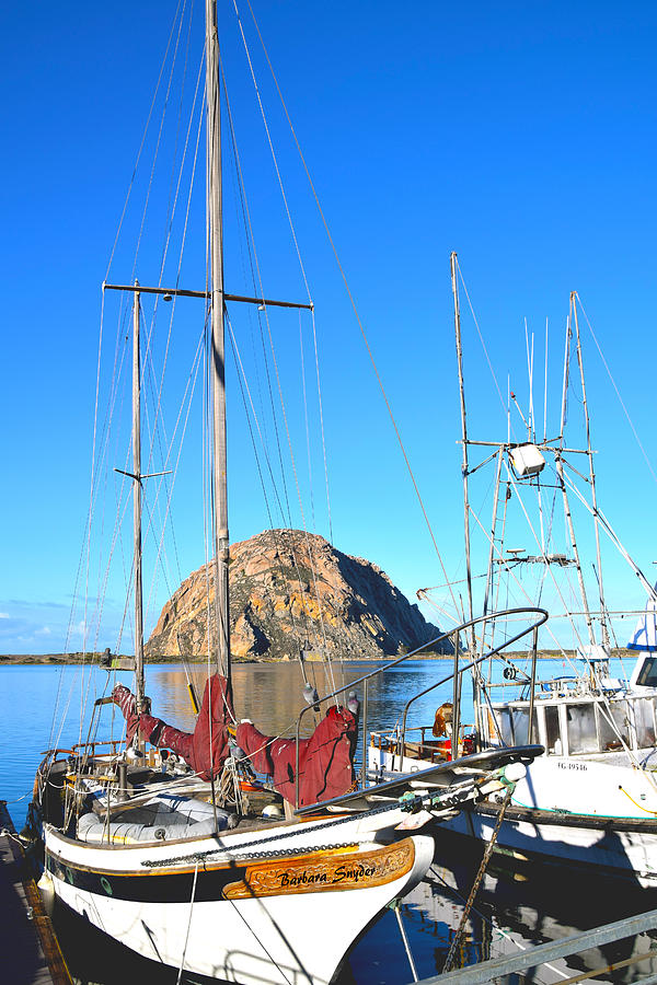 White Sail Boat Morro Rock  Painting by Barbara Snyder