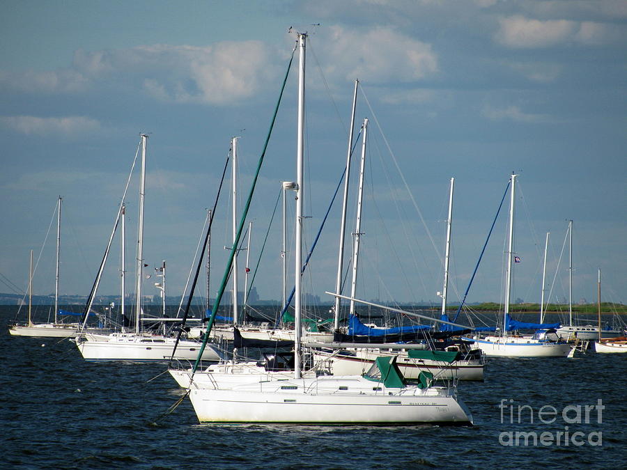 White Sailboats Photograph by Colleen Kammerer