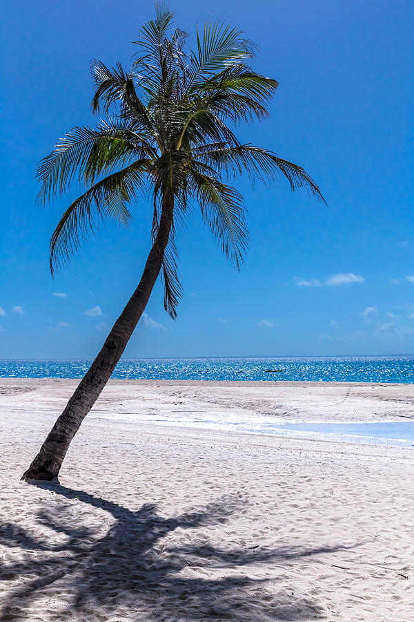 White Sand Beaches and Tropical Blue Skies Photograph by James BO Insogna