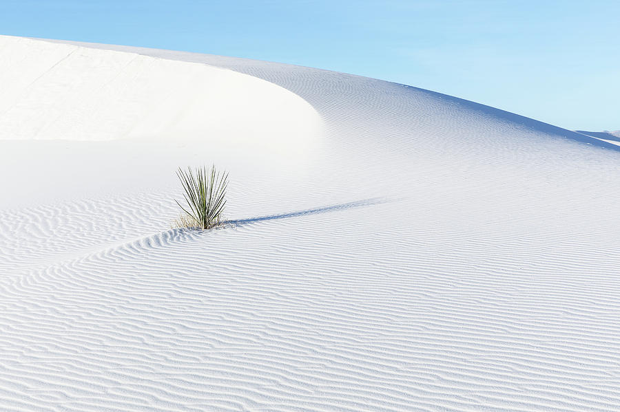 White Sand Dunes New Mexico One Photograph By Bill Swindaman