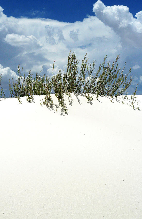 White Sand Green Grass Blue Sky Photograph by Joe Kozlowski