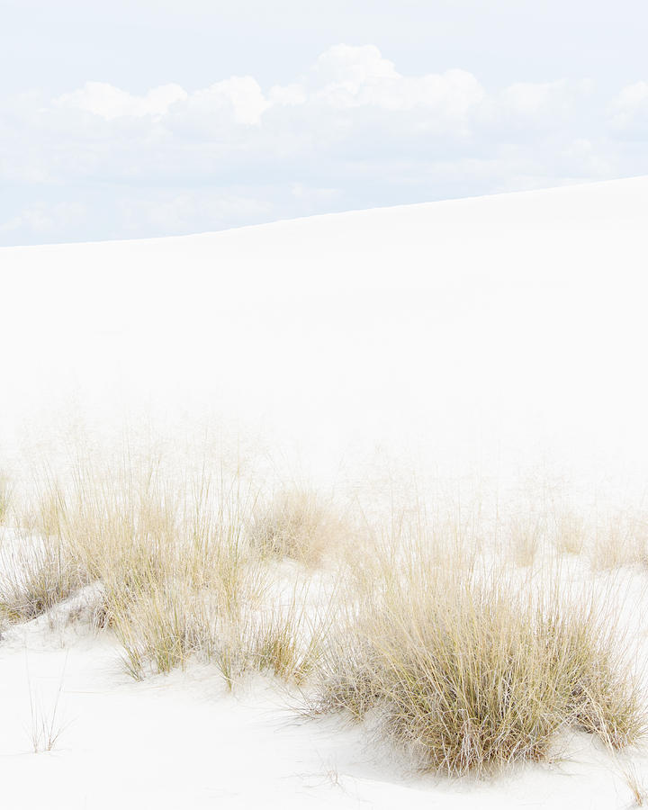 White Sand - White Sands National Monument Photograph by Darin Volpe