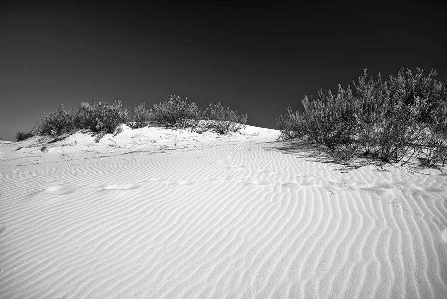 White Sands 5 Photograph by Lou  Novick