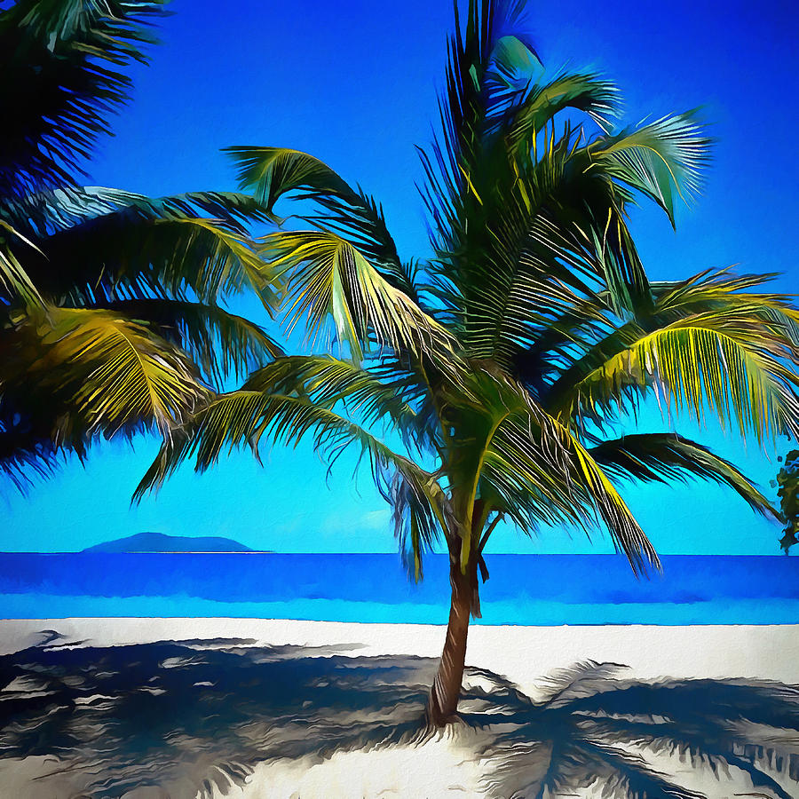 White Sands and Palm Trees I Digital Art by Ronald Bolokofsky