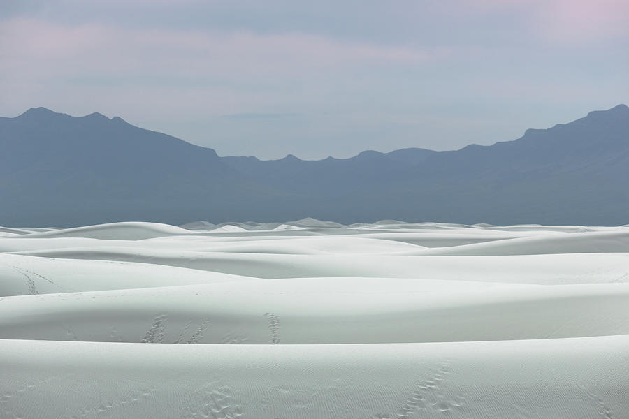 White Sands Photograph by David Diaz