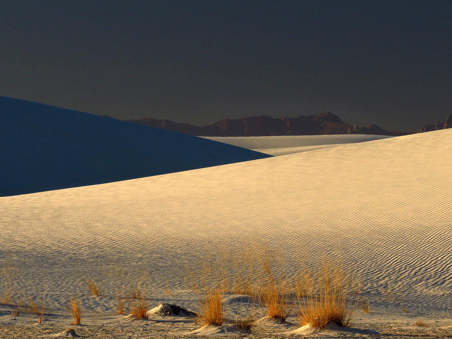 White Sands Dawn #133 Photograph by Cindy McIntyre