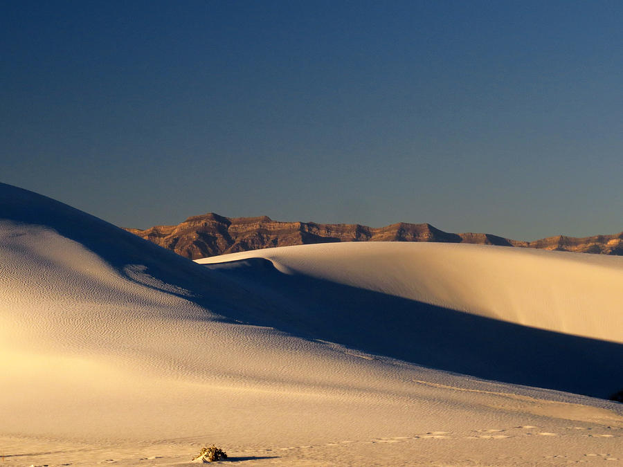 White Sands Dawn #136 Photograph by Cindy McIntyre