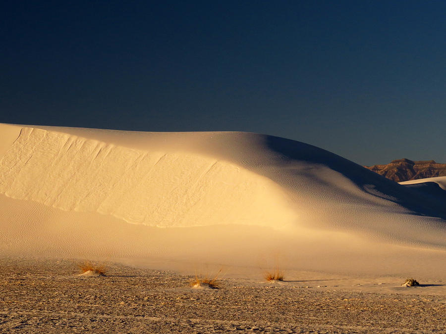 White Sands Dawn #141 Photograph by Cindy McIntyre