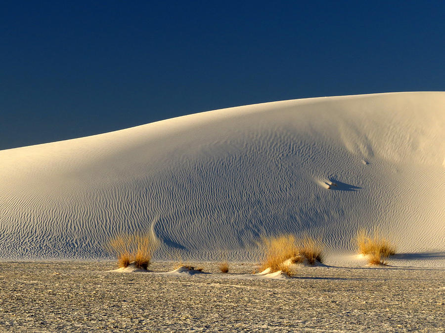 White Sands Dawn #144 Photograph by Cindy McIntyre