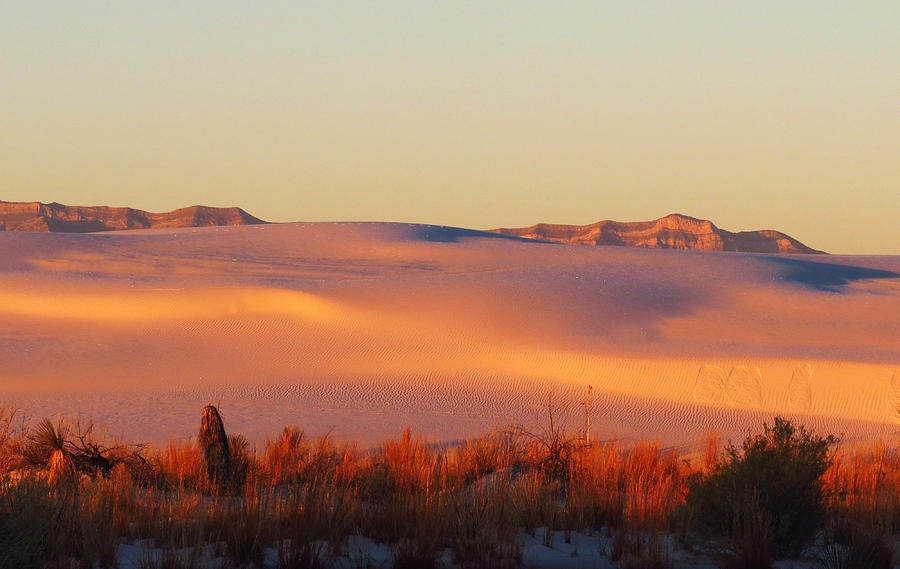 White Sands Dawn #24 Photograph by Cindy McIntyre