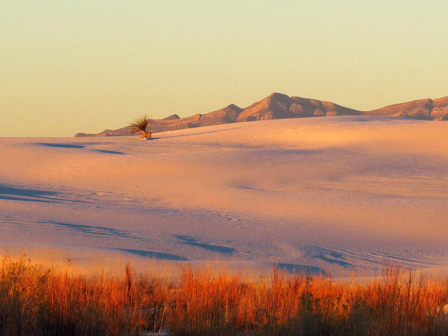 White Sands Dawn #27 Photograph by Cindy McIntyre