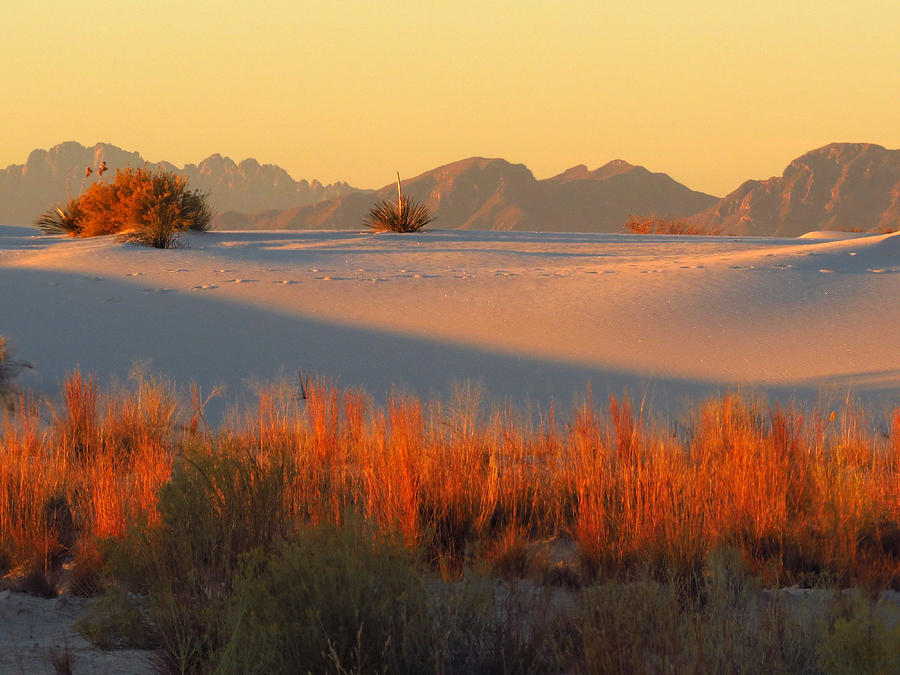 White Sands Dawn #28 Photograph by Cindy McIntyre