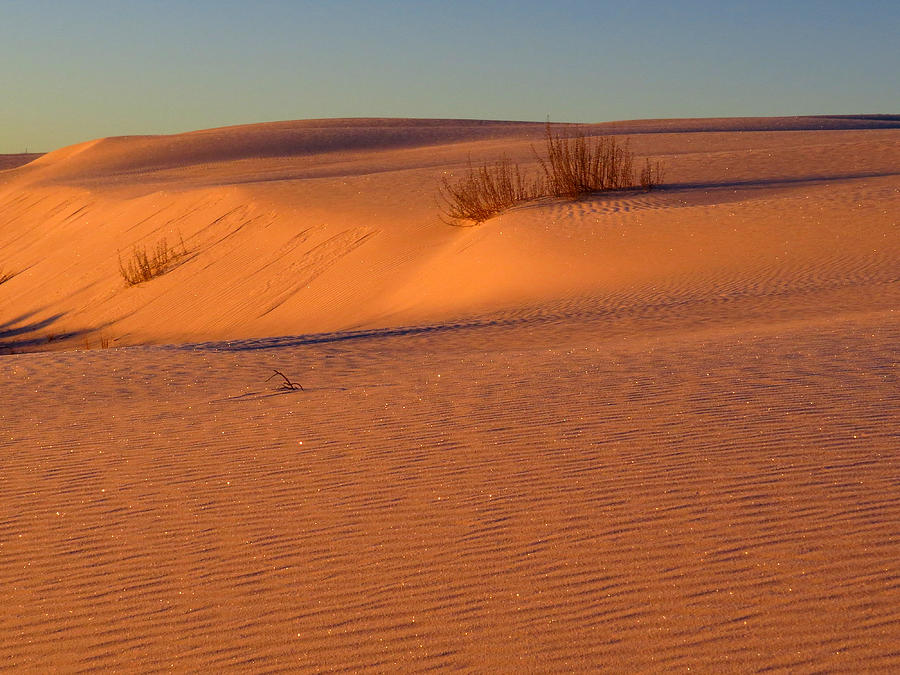 White Sands Dawn #30 Photograph by Cindy McIntyre