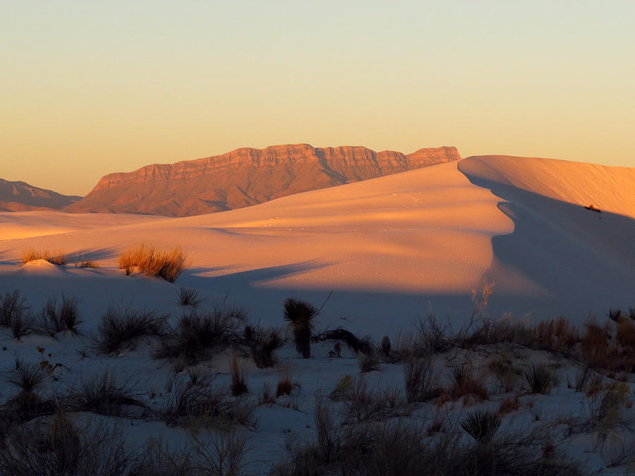 White Sands Dawn #32 Photograph by Cindy McIntyre