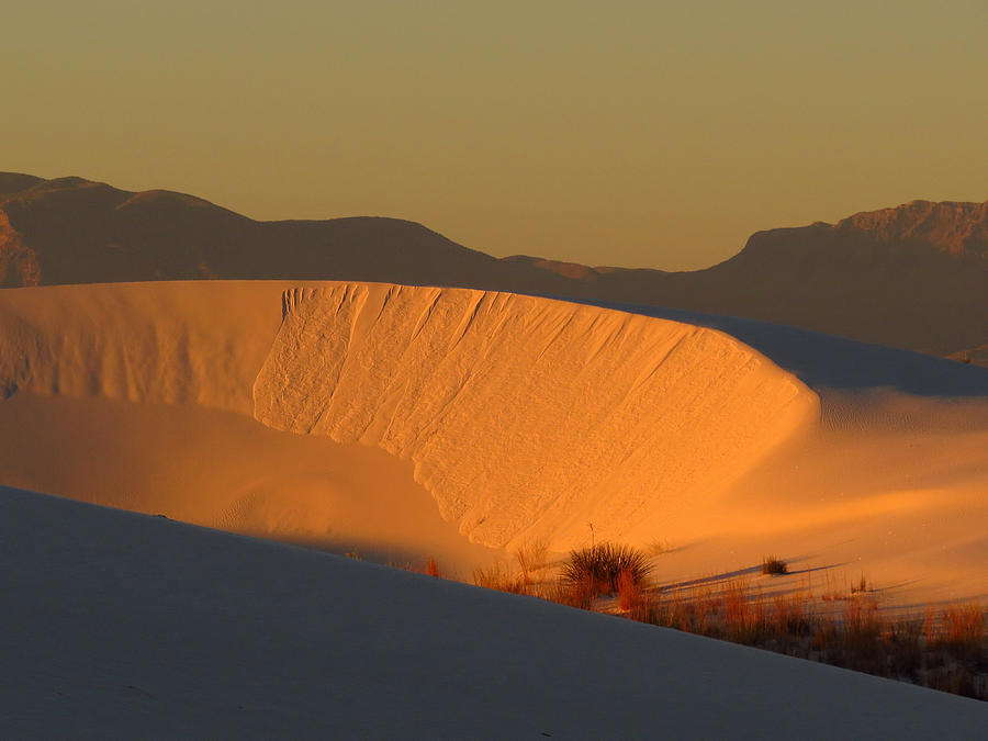 White Sands Dawn #35 Photograph by Cindy McIntyre