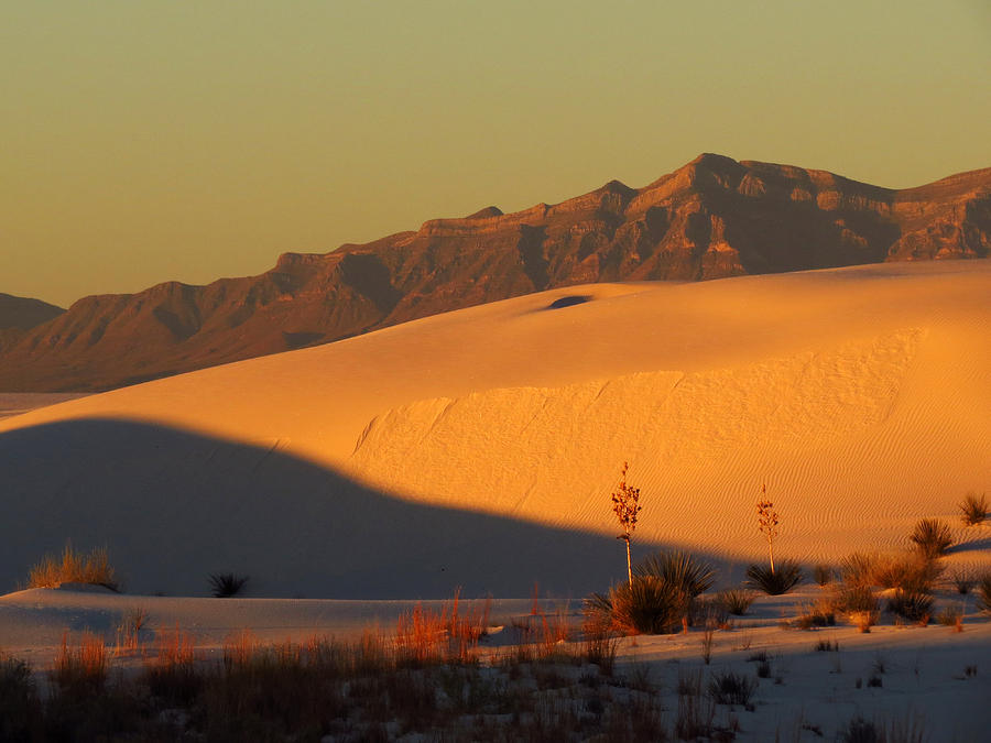 White Sands Dawn #37 Photograph by Cindy McIntyre