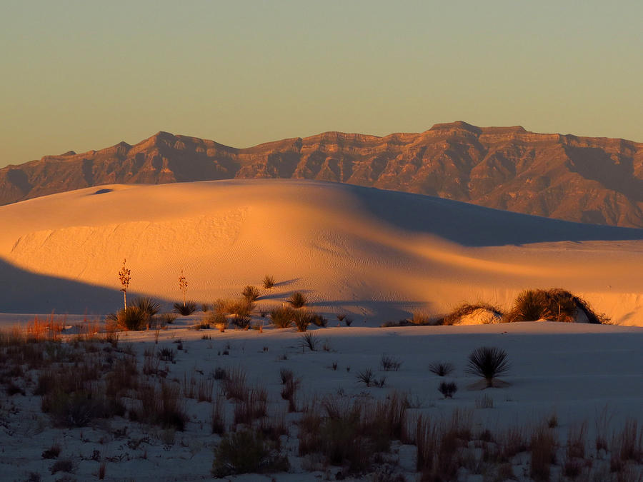 White Sands Dawn #40 Photograph by Cindy McIntyre