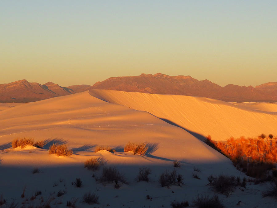 White Sands Dawn #51 Photograph by Cindy McIntyre