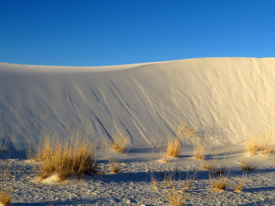 White Sands Dawn #76 Photograph by Cindy McIntyre