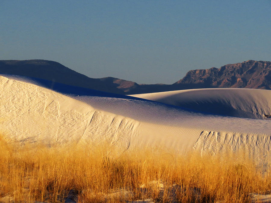 White Sands Dawn #81 Photograph by Cindy McIntyre
