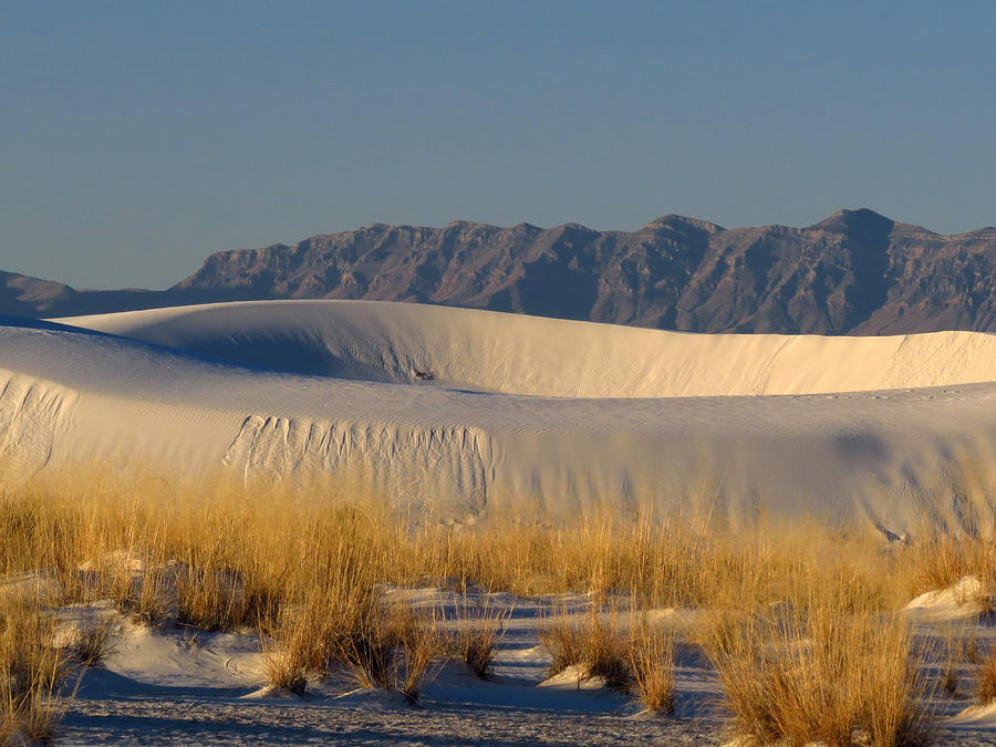 White Sands Dawn #83 Photograph by Cindy McIntyre