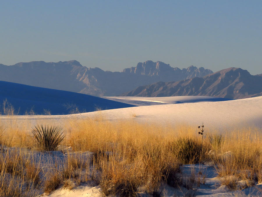 White Sands Dawn #85 Photograph by Cindy McIntyre