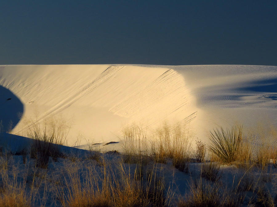 White Sands Dawn #90 Photograph by Cindy McIntyre