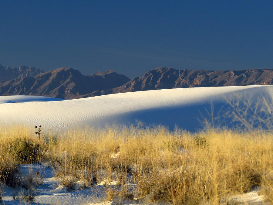 White Sands Dawn #96 Photograph by Cindy McIntyre
