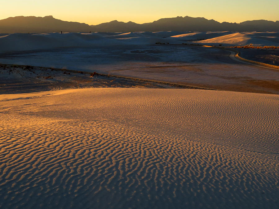 White Sands Evening #35 Photograph by Cindy McIntyre