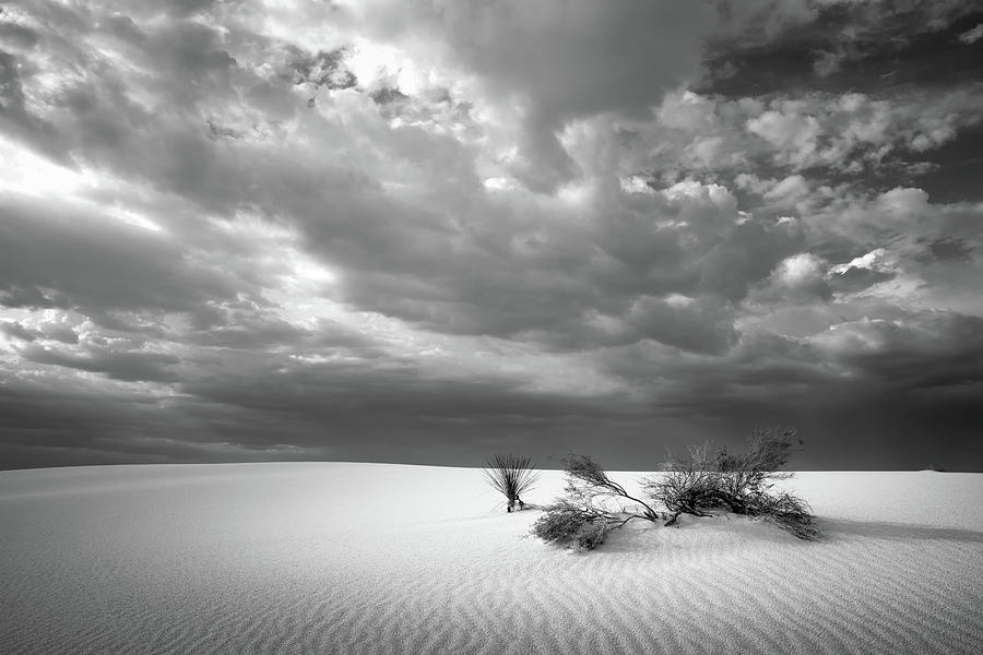White Sands in bw Photograph by James Barber