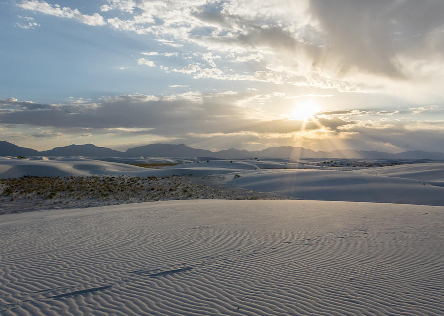 White Sands Photograph by Kate Bazin - Fine Art America