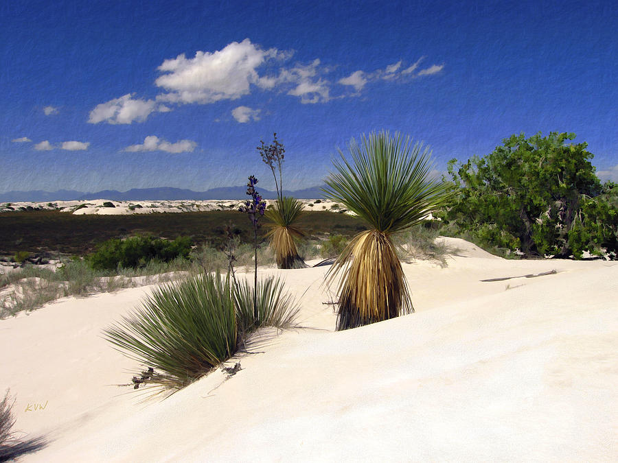 White Sands National Monument Photograph - White Sands by Kurt Van Wagner