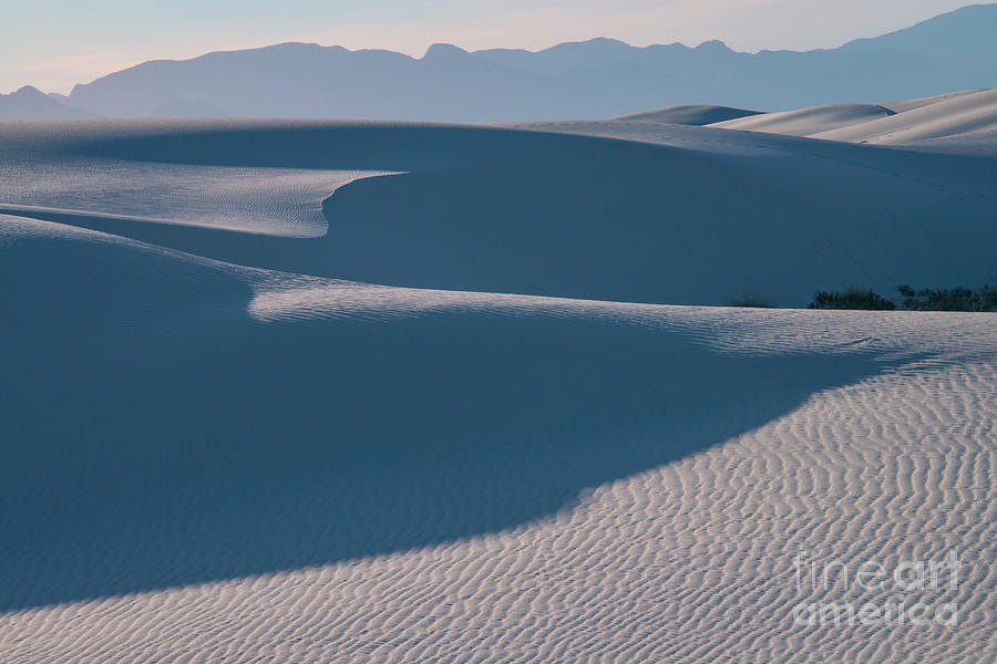 White Sands National Monument Photograph - White Sands Light and Shadow by Bob Phillips