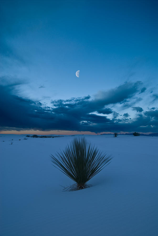 White Sands Moonrise Photograph by Steve Gadomski