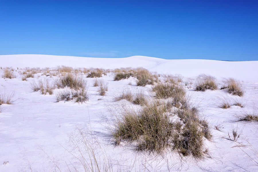 White Sands National Monument Dunes 1 - New Mexico Photograph by Brian Harig