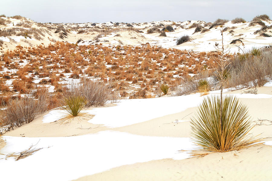 White Sands National Monument Photograph - White Sands National Monument Winter Snow - New Mexico by Brian Harig