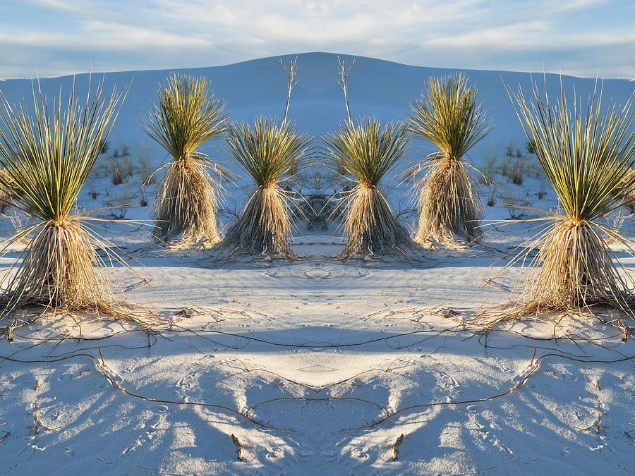 White Sands New Mexico Mirror Photograph by Kyle Hanson