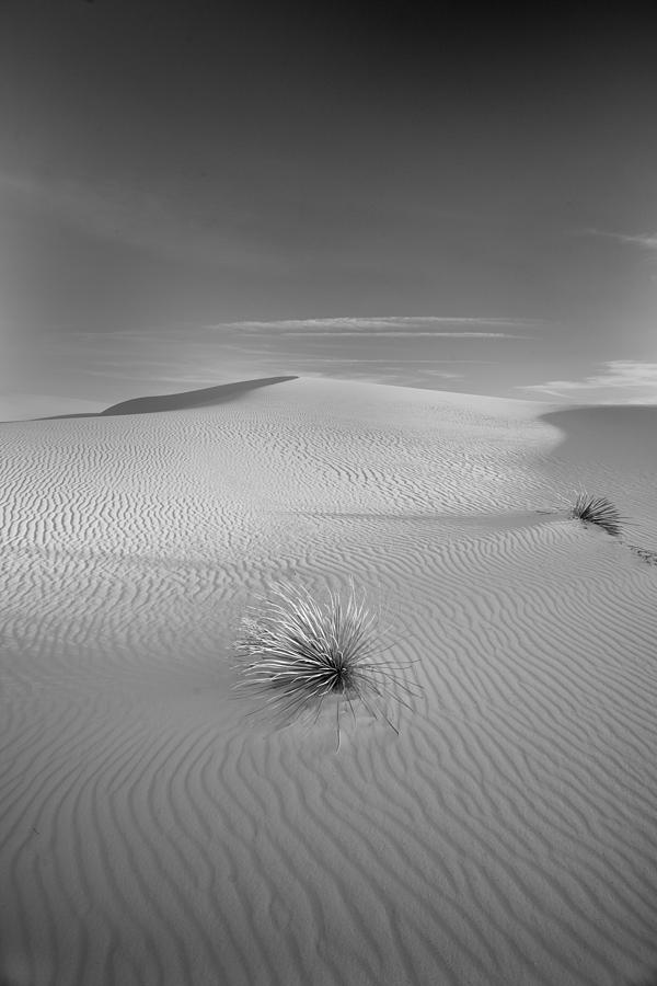 White Sands Photograph by Peter Tellone