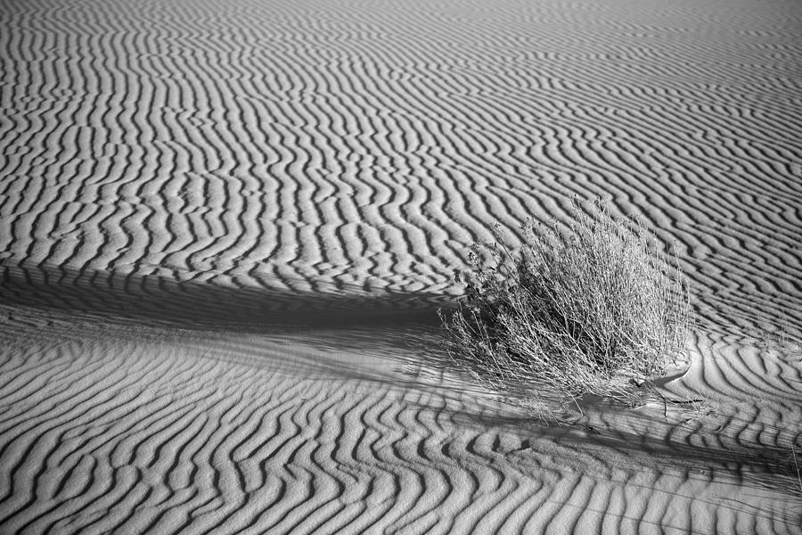 White Sands Ripples Photograph by Peter Tellone