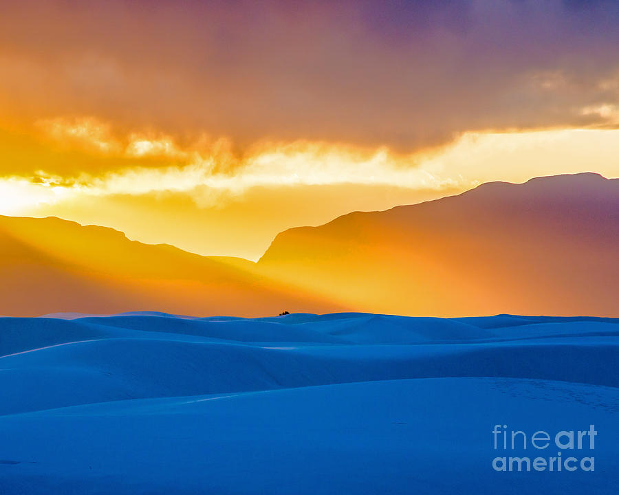 Golden White Sands Photograph by Stephen Whalen